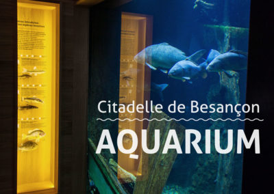 L’Aquarium de la Citadelle fait peau neuve